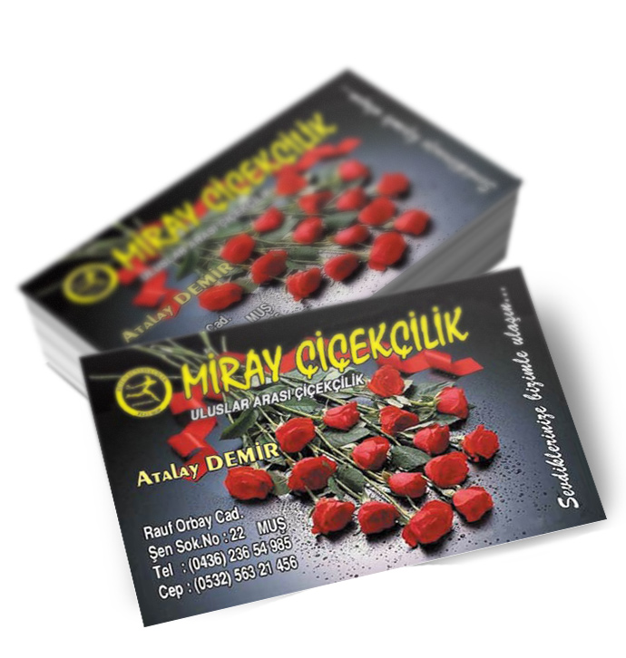 Kartvizit - 350 gr. Mat Kuşe