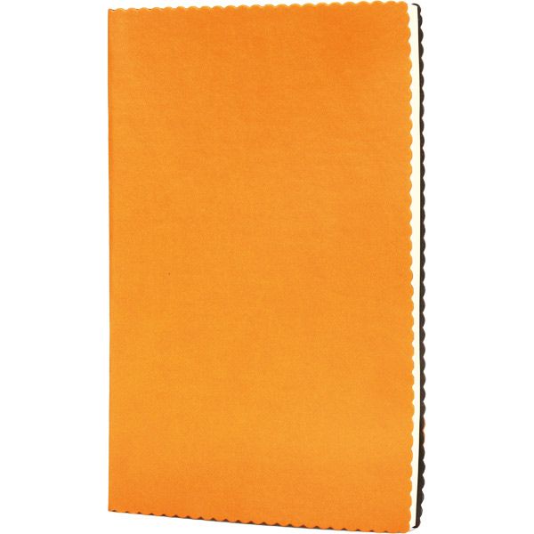 Erciyes-T Tarihsiz Defter